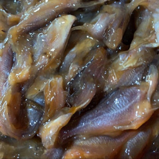 MẮM CÁ CHỐT (500g)