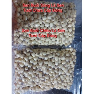Hạt Sen Huế ( 1 Kg Cấp Đông ) Cam Kết 100% Sen Tươi