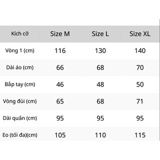 Set nỉ áo dài quần suông chất da cá BIGSIZE (B6)