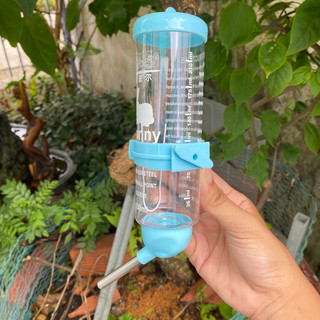 Bình nước bi 250ml cho hamster, thỏ, bọ bình tốt không rỉ nước