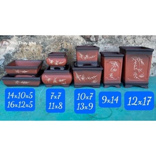  Combo 8 chậu bonsai cây cảnh sen đá mini màu Đỏ SP624 