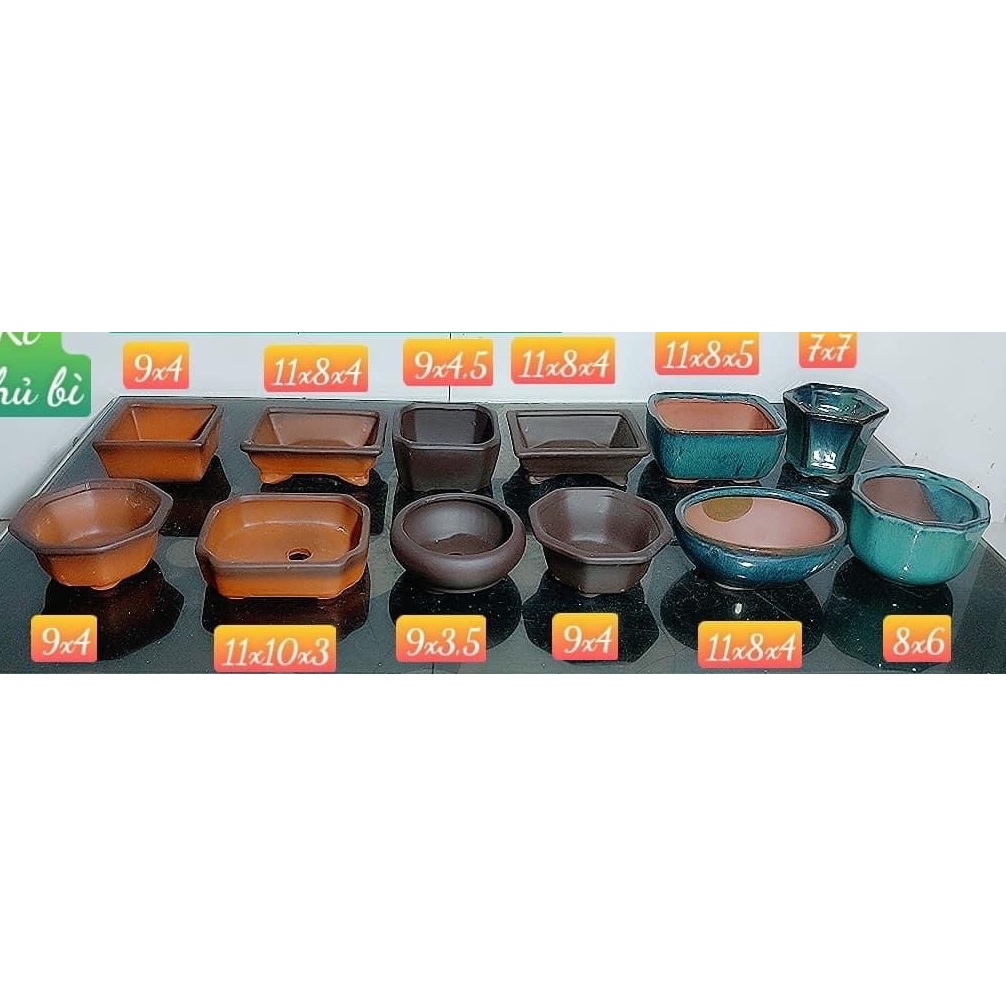Combo 12 chậu bonsai cây cảnh sen đá mini màu Đỏ đen xanh SP625