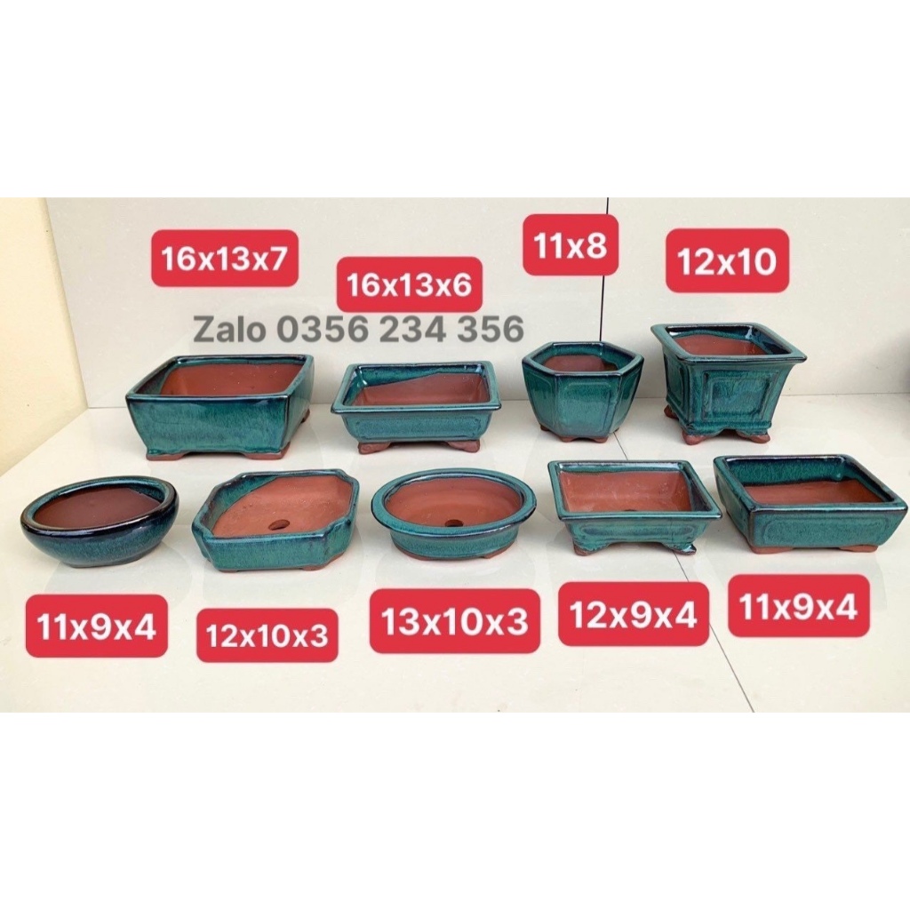 Combo 9 chậu bonsai cây cảnh sen đá mini màu Xanh SP627