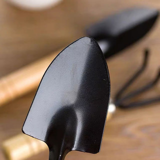 Bộ 3 Món Dụng Cụ Làm Vườn Đa Năng