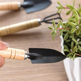 Bộ 3 Món Dụng Cụ Làm Vườn Đa Năng