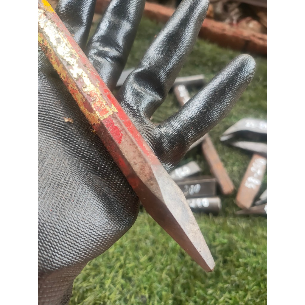 Đục hàng Nhật bãi