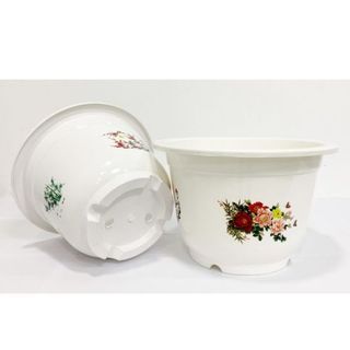 Combo Chậu kèm dây treo
