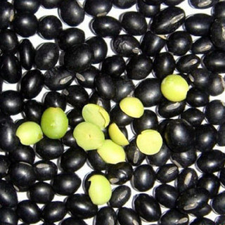 Đậu đen xanh lòng hữu cơ sạch 1kg