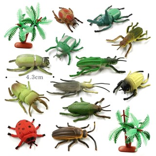 Bộ sưu tập 12 Bọ Cánh Cứng Safari - Đồ Chơi mô hình Côn Trùng New4all Animal World 126 cho bé