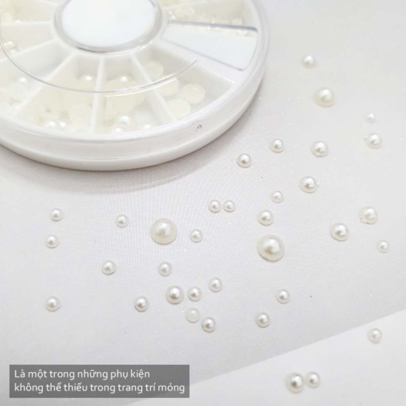 Khay Ngoc Trai nữa mix size - Hộp trai nửa đủ size thiết kế móng nail đẹp chuyên dụng