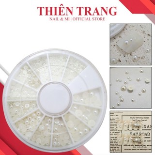 Khay Ngoc Trai nữa mix size - Hộp trai nửa đủ size thiết kế móng nail đẹp chuyên dụng