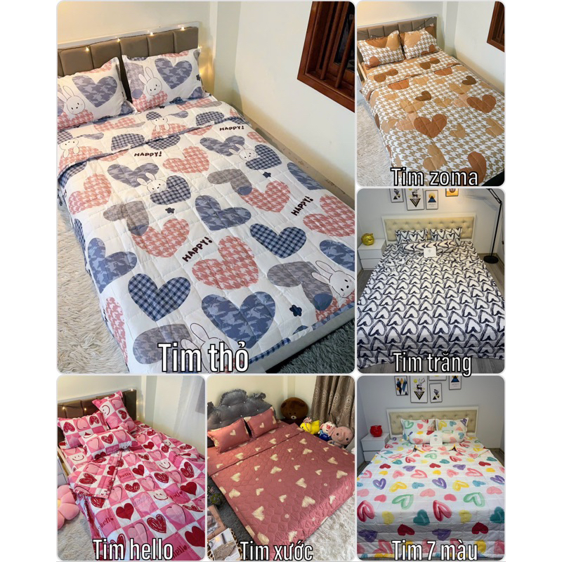 sét hè 5 món chăn ga gối&vỏ ôm cottonpoly