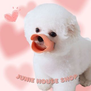 Rọ mõm vịt cho chó (nhiều màu)