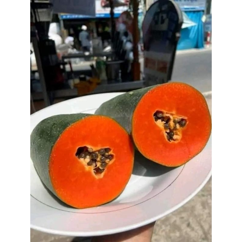 Đu đủ Thái lùn đỏ đặt ruột