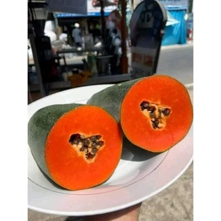 Cây 🌲 Đu đủ Thái lùn đỏ đặt ruột
