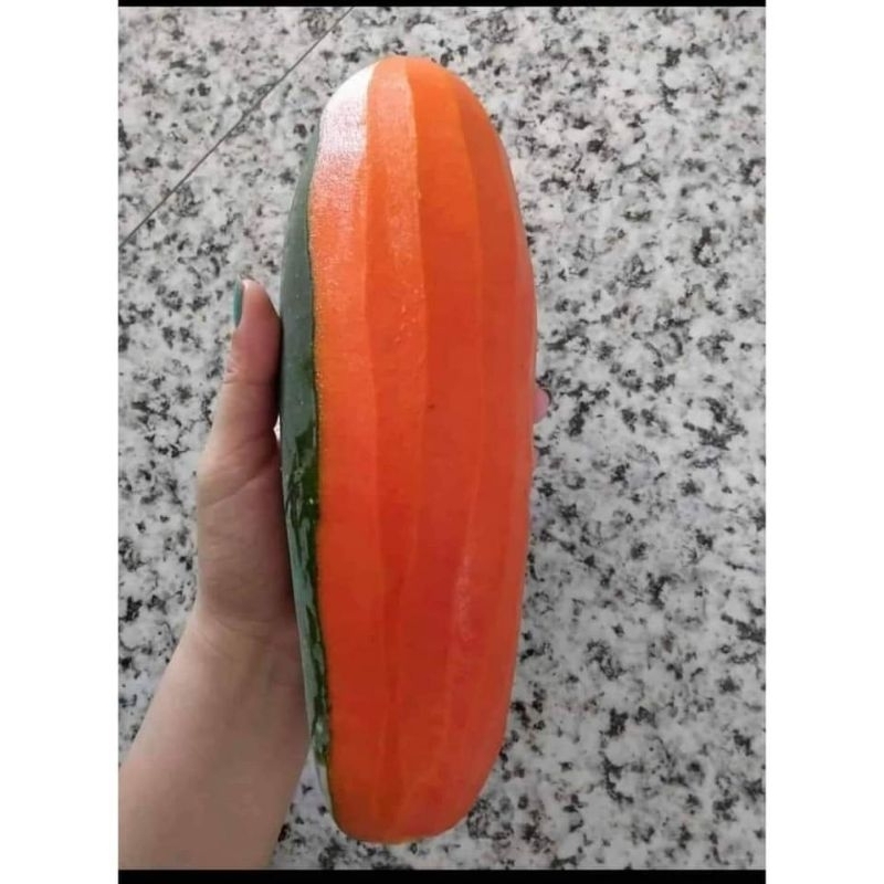 Đu đủ Thái lùn đỏ đặt ruột