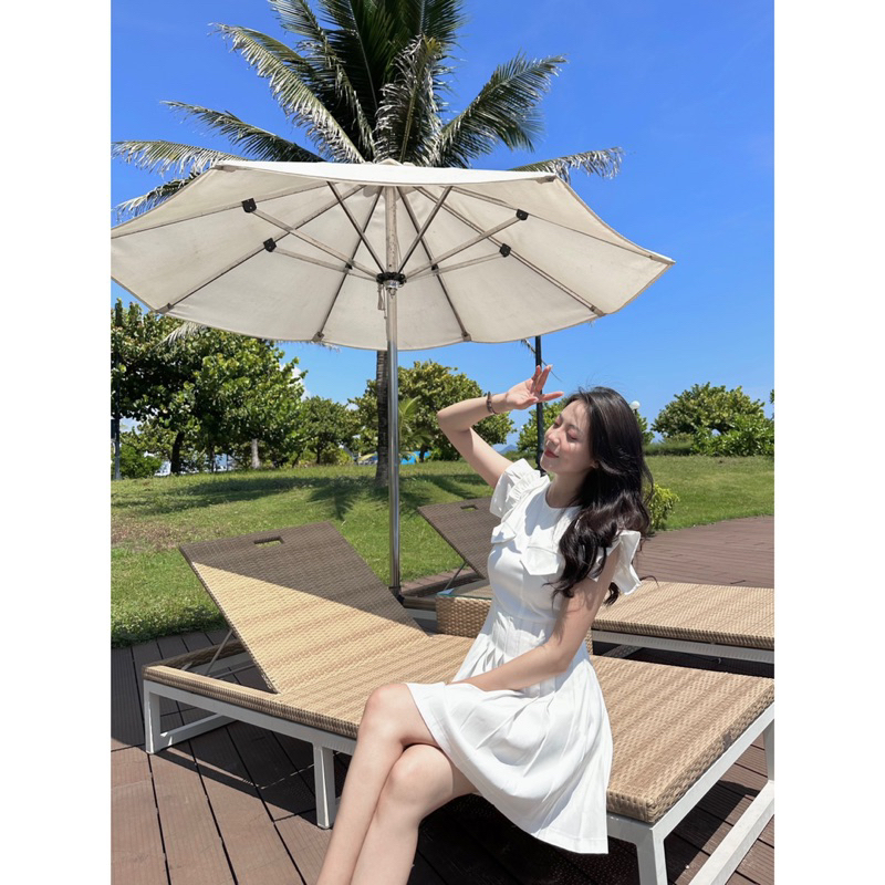 Đầm - 2 Túi Giả - Lai Xếp Li - Tay Cánh Tiên Bèo