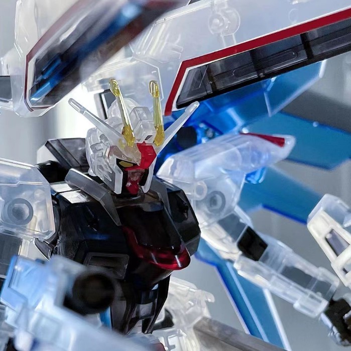 Mô hình khớp Gundam MG Freedom 2.0 Clear Color The Gundam Base Limited loại nhựa trong 1962 5-1