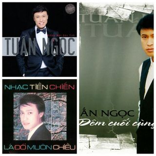 3 cd nhạc vàng tuấn ngọc chất lượng cao - phôi phono bìa màu 2 mặt