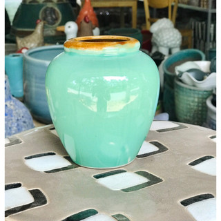 chum lu mini uống nước
