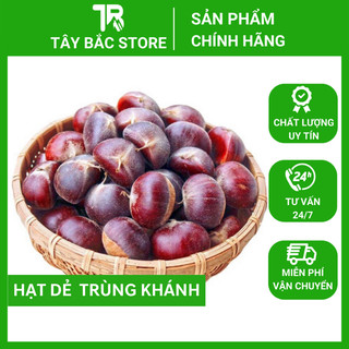 Hạt dẻ trùng khánh hạt dẻ sống túi 1 kg gửi từ cao bằng