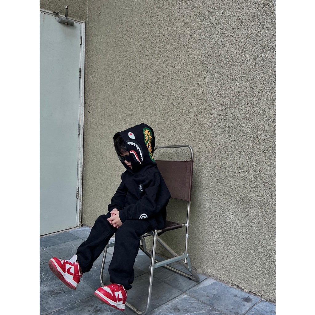 Áo nỉ hoodie cho bé hình bepa, áo nỉ mũ túi cho bé,TP KIDS,[M484]