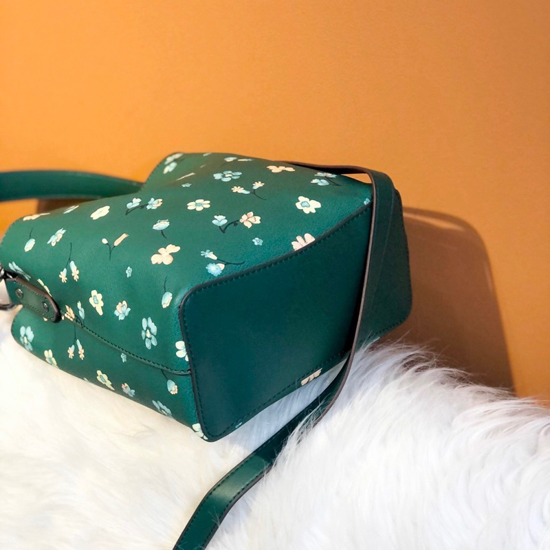 Túi coach town bucket