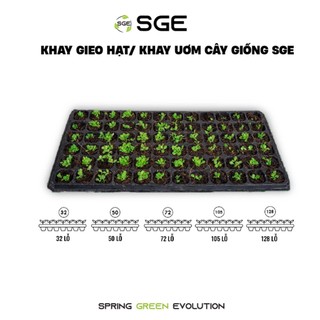 Khay ươm hạt 32 lỗ - 50 lỗ - 72 lỗ - 105 lỗ 128 lỗ  SGE Làm Từ PET Dẻo Dai