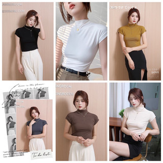Áo Cộc Cổ Lọ 3P Cotton Cao Cấp Tôn Dáng  Style Hồng Kong