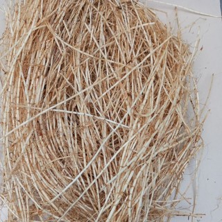 1kg Rễ Tranh tươi (Rễ Cỏ Tranh tươi, Bạch mao căn)