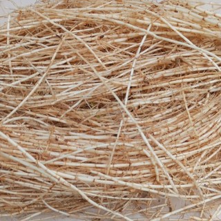1kg Rễ Tranh tươi (Rễ Cỏ Tranh tươi, Bạch mao căn)