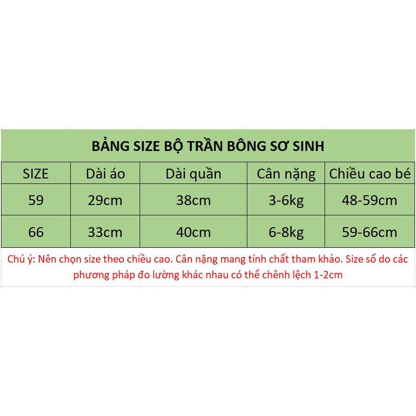 Bộ trần bông thu đông cho bé trai bé gái Hàng Quảng Châu cao cấp BD12