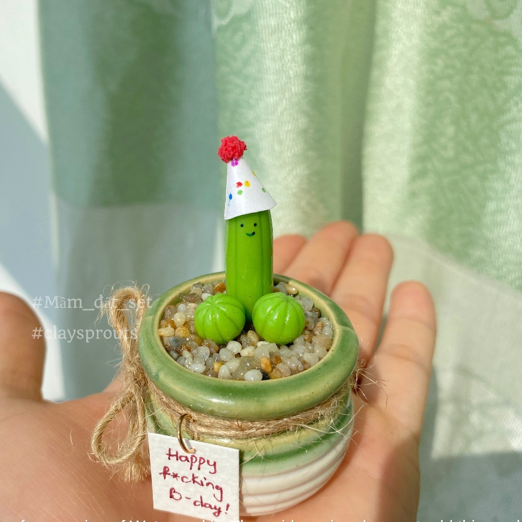 Quà sinh nhật tặng bạn trai - Xương rồng tinh nghịch đội mũ - New design - 10/2023