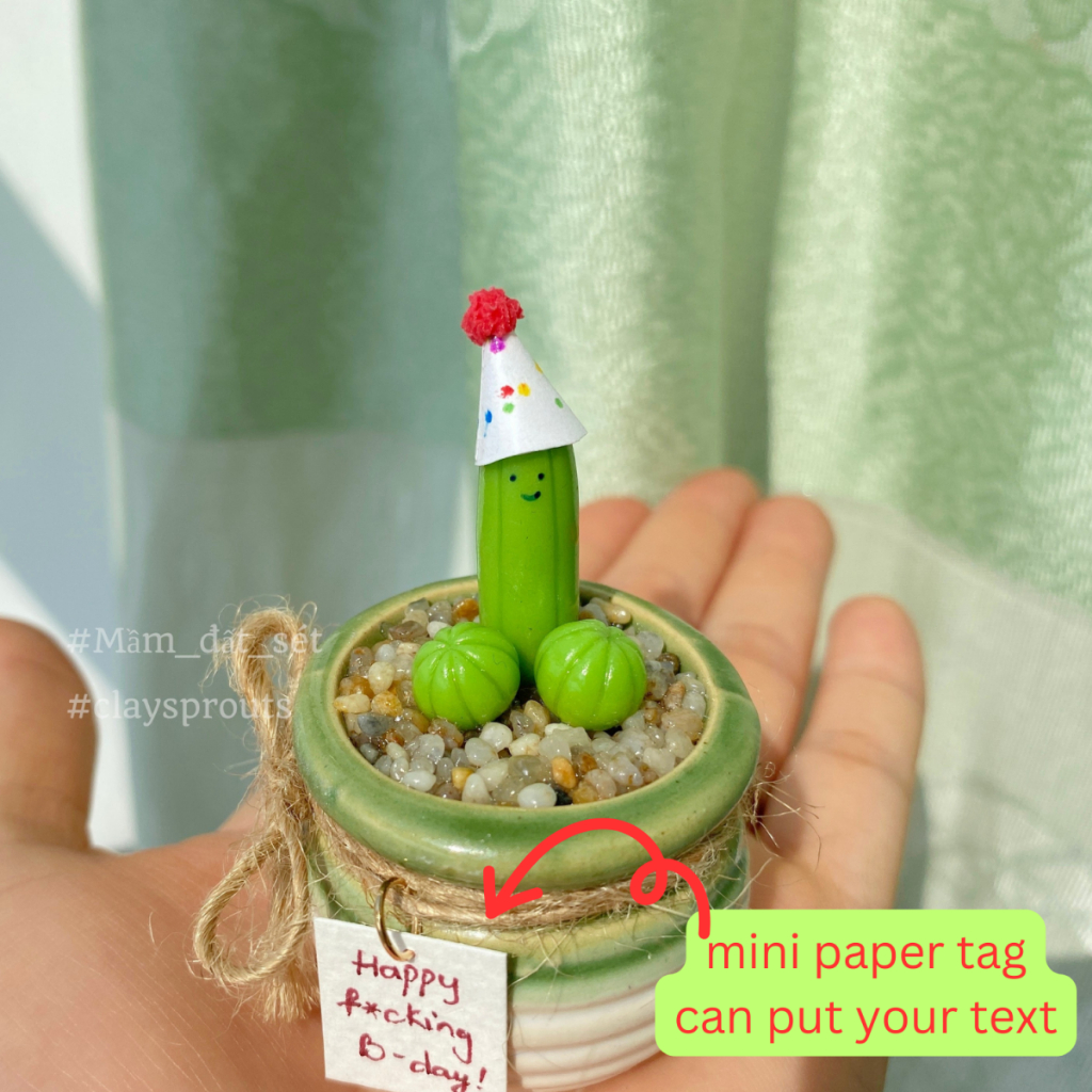 Quà sinh nhật tặng bạn trai - Xương rồng tinh nghịch đội mũ - New design - 10/2023