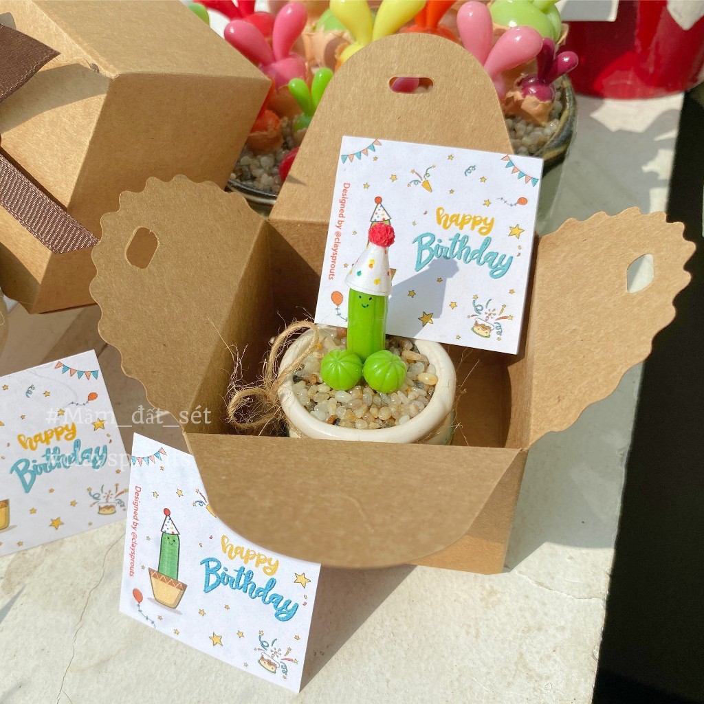 Quà sinh nhật tặng bạn trai - Xương rồng tinh nghịch đội mũ - New design - 10/2023