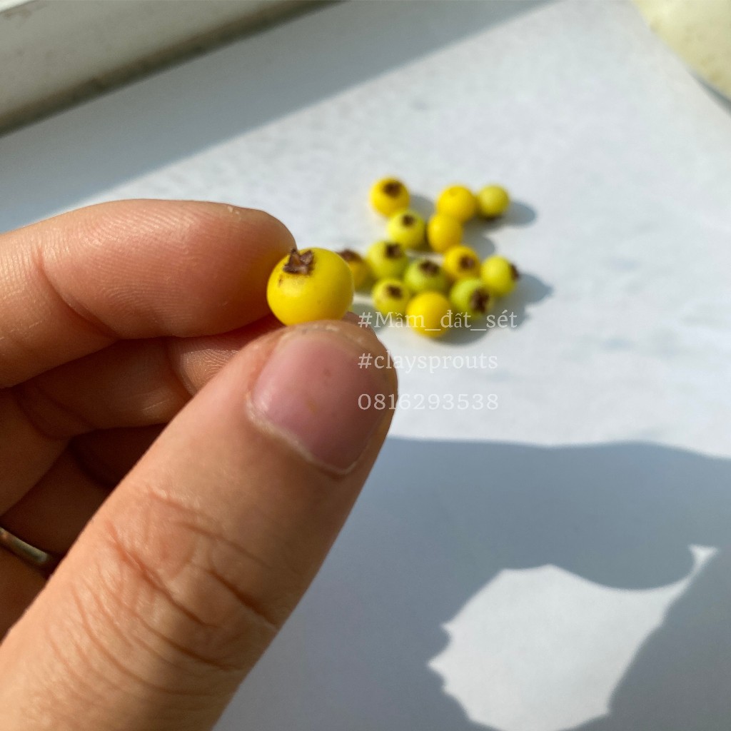 Mô hình trái thị sáp mini cho nhà búp bê từ đất sét tỉ lệ 1/6 - Mầm Đất Sét