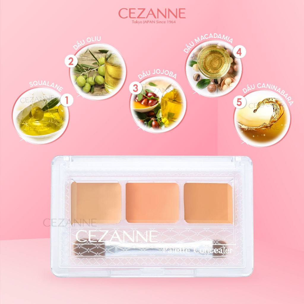 Kem che khuyết điểm Cezanne Palette Concealer Nhật Bản độ che phủ cao chống thấm nước 4.5g