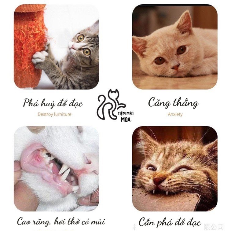 Cà rốt nhỏ cào móng cho mèo - Đồ chơi cho mèo - Tiệm Mèo Moa