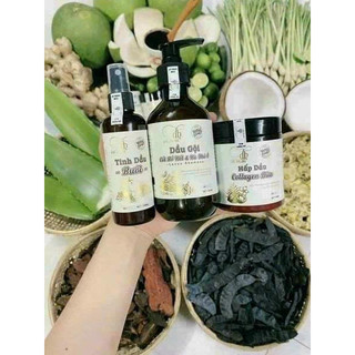 Dầu gội bồ kết hà thủ ô + ủ xả collagen dừa + xịt bưởi kích mọc tóc