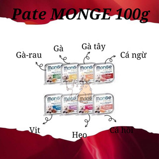 Pate Monge hộp bạc 100g nhiều vị cho chó