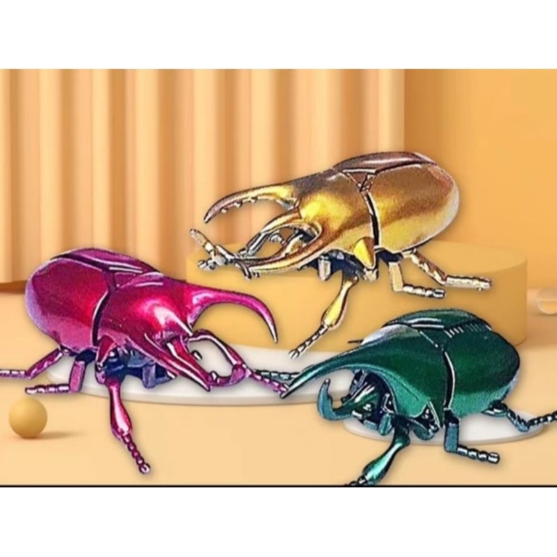 Bọ hung cuồng sát di chuyển chạy cót cực ngầu