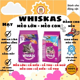 Thức ăn hạt whiskas mèo con và mèo trưởng thành
