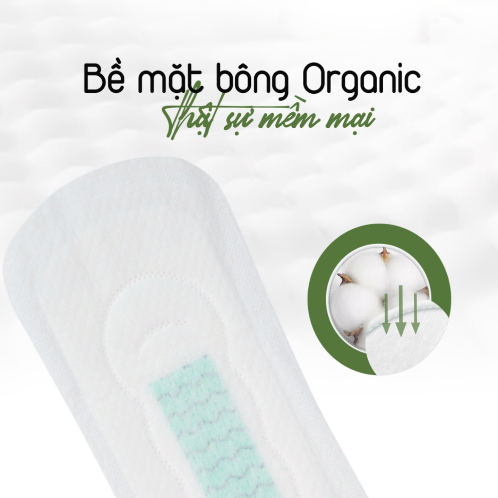 Bộ 6 gói Băng vệ sinh Yeonchi Organic ban ngày không cánh 245mm siêu mỏng công nghệ Hàn Quốc