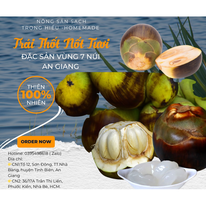 Trái thốt nốt tươi - Đặc sản An Giang