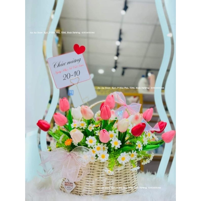 Cúc họa my điểm trang trí