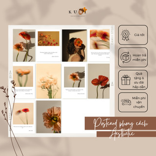 Set 10 postcard tranh dán tường, tranh dán trang trí phòng phong cách aesthetic, decor tường Kuri