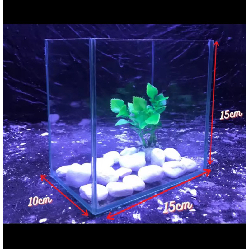 Bể cá 15x10x15
