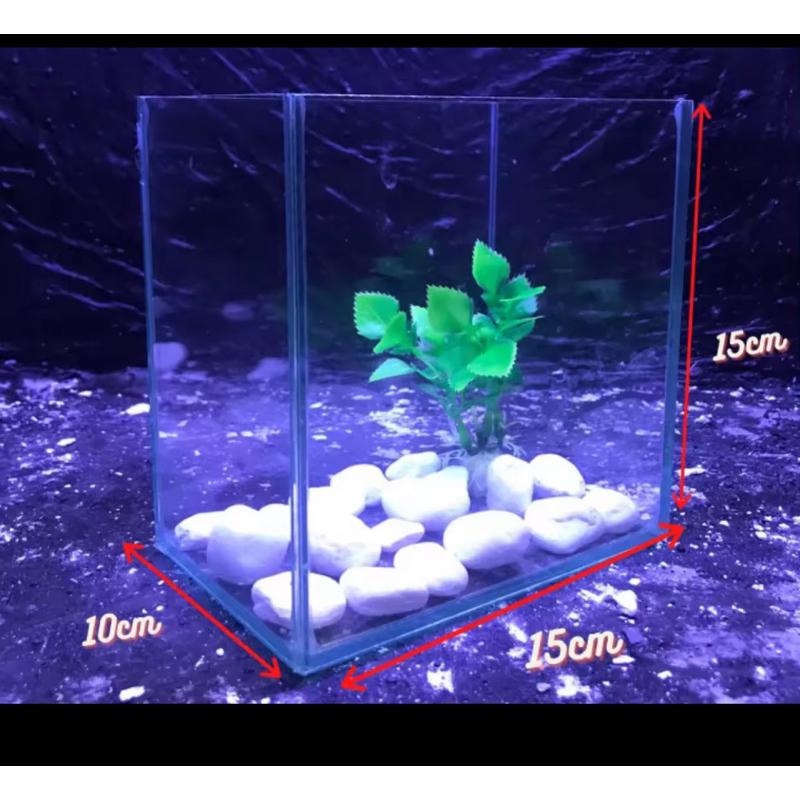 Bể cá 15x10x15