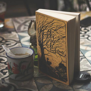 Sách - Đồi gió hú (Emily Bronte)