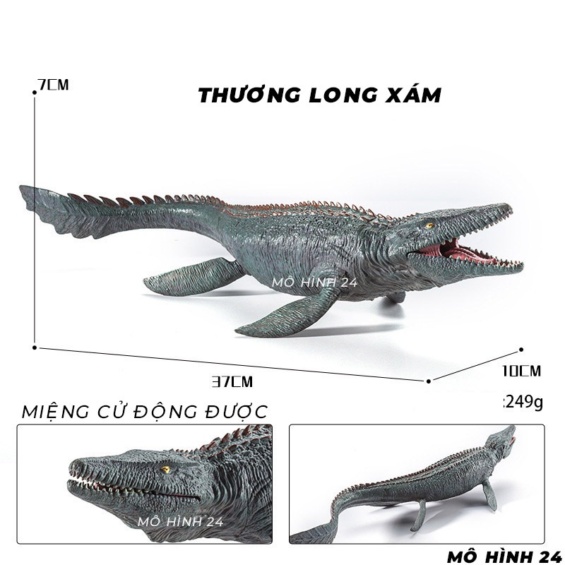 Đồ chơi Khủng long mô hình THƯƠNG LONG mosasaurus mosasaur xanh xám dinosaur size to jurassic park mồm cử động được